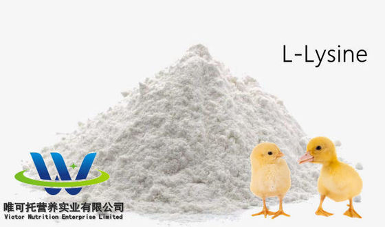Feed Grade HCl Sulfate L Lysine 98.5% 70% Feed Additive Grade for Customized Request