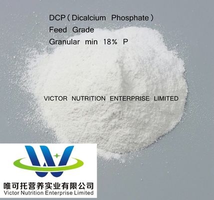 Vitamin B5 D-Calcium Pantothenate Essential for a Healthy and Active Lifestyle