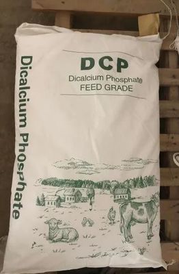 Vitamin B5 D-Calcium Pantothenate Essential for a Healthy and Active Lifestyle
