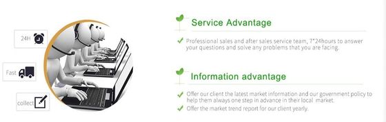 Food Additive Sodium Ascorbate for Tablet USP Certified and Customizable