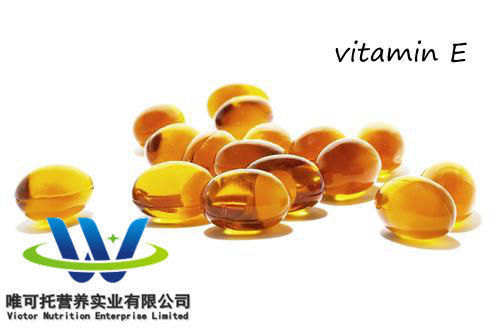 Natural Vitamin E Oil 98% Dl-Alpha-Tocopheryl Acetate Ve for Nutrient Composition