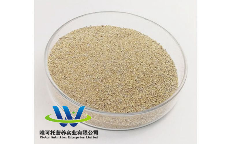 White L-Threonine Powder for Feed Additives at Affordable CAS Number 72-19-5