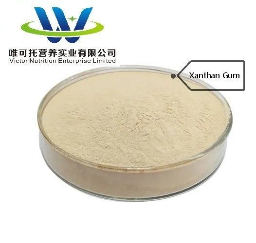 Xanthan Gum 200 Mesh for Baked Goods on CAS No. 11138-66-2 in Food Ingredient