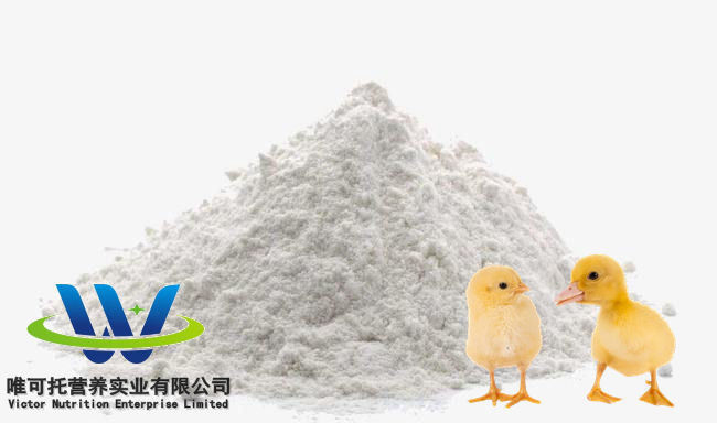 Customized L-Lysine H2so4 Sulphate 70%Min Feed Grade for Optimal Performance