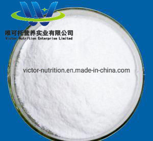 Paper Packaging Material Vitamin C Sodium Salt Food Additives FCC/USP/BP/EP Certified