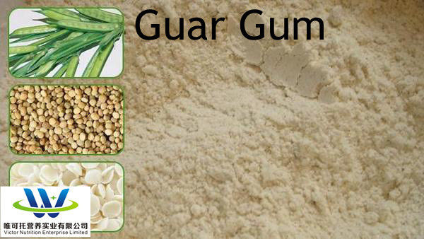 Food Grade Guar Gum CAS 9000-30-0 with Normal Storage Method Shelf Life 12 Months